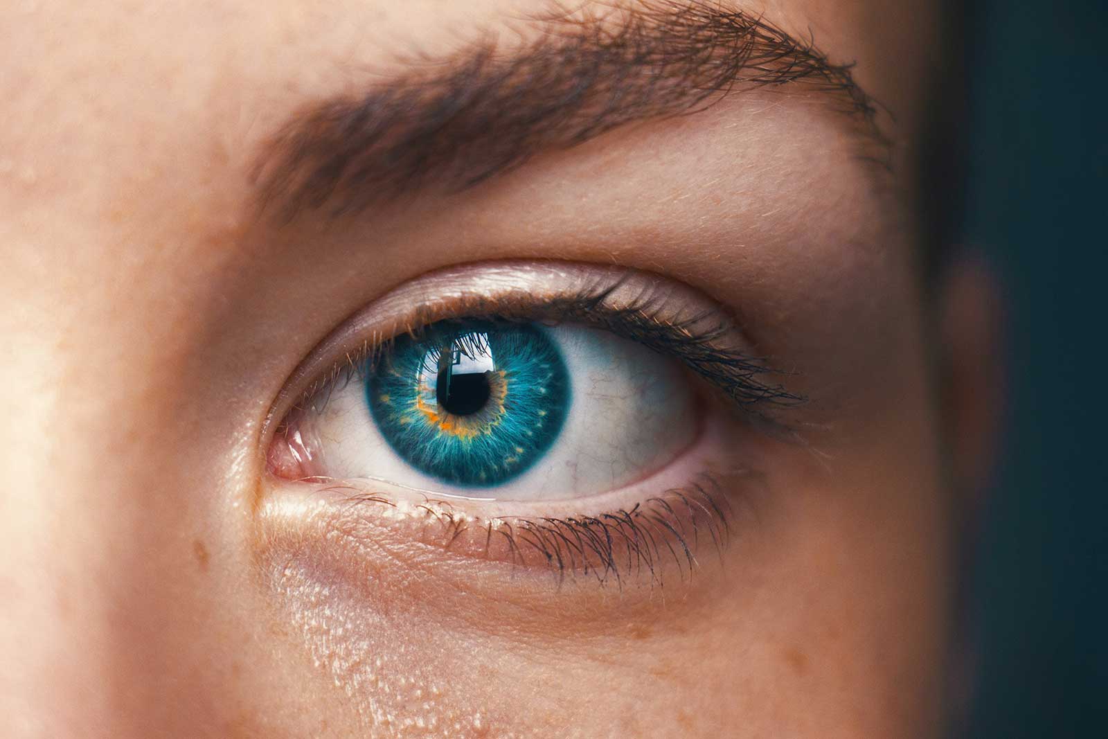 A close up of a blue eye.